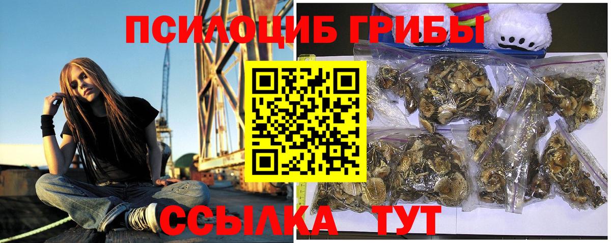 как найти   Псилоцибиновые грибы мицелий  Вход с VPN  Каменск-Уральский 
