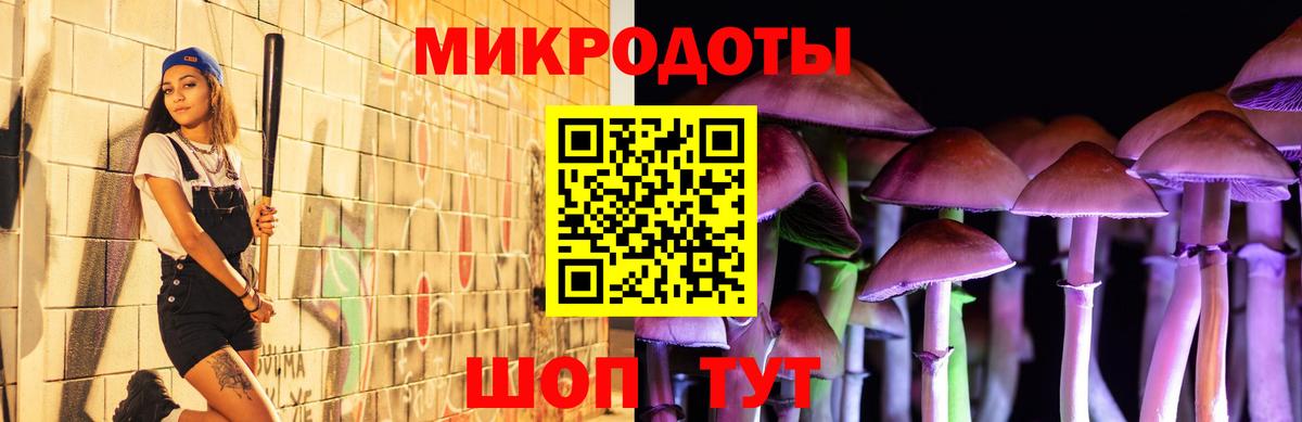 Псилоцибиновые грибы Cubensis Каменск-Уральский